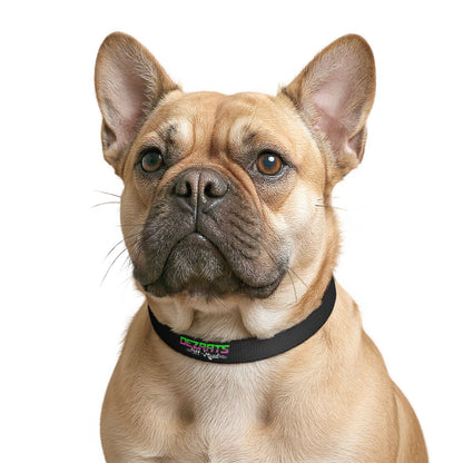 Neon Logo Dog Collar