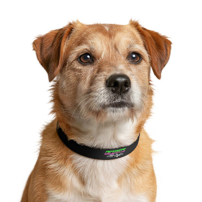 Neon Logo Dog Collar